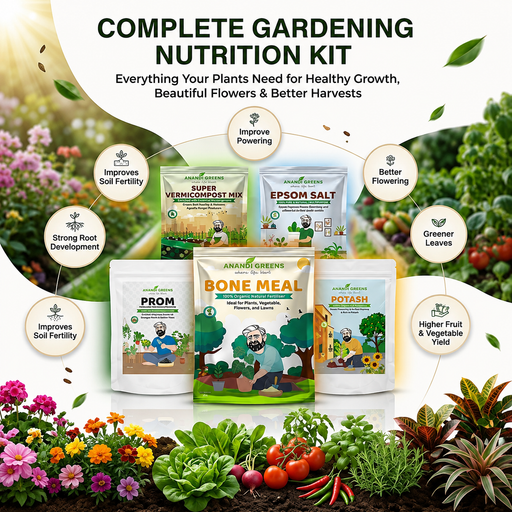 Plant Nutrient Bone Meal, Super Vermicompost Prom, Epsom Salt potash Combo