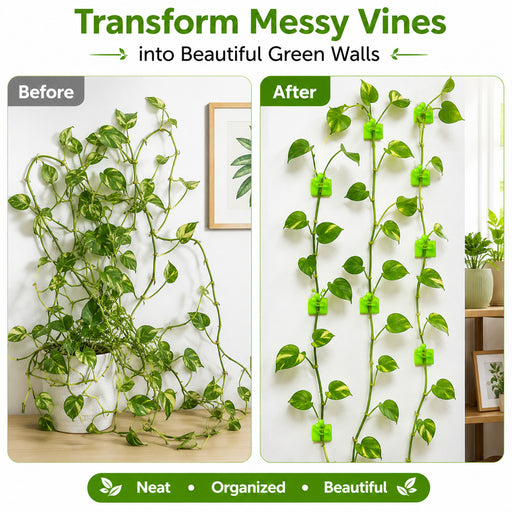 Plant Support Fixing Clips for Wall Climbers 