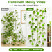 Plant Support Fixing Clips for Wall Climbers 