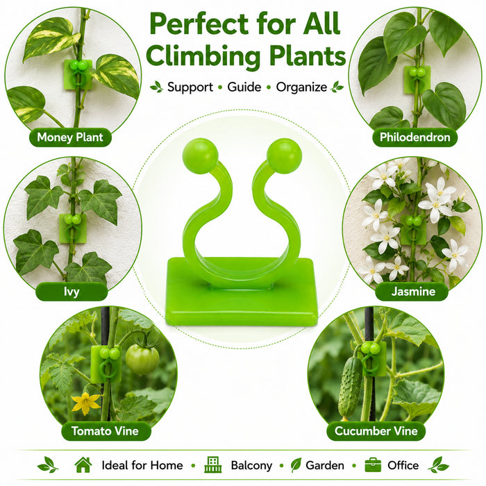 Plant Support Fixing Clips for Wall Climbers 
