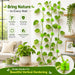 Plant Support Fixing Clips for Wall Climbers 
