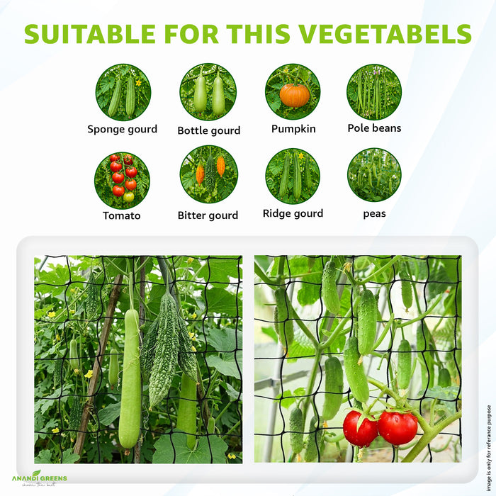 Plant Support Net