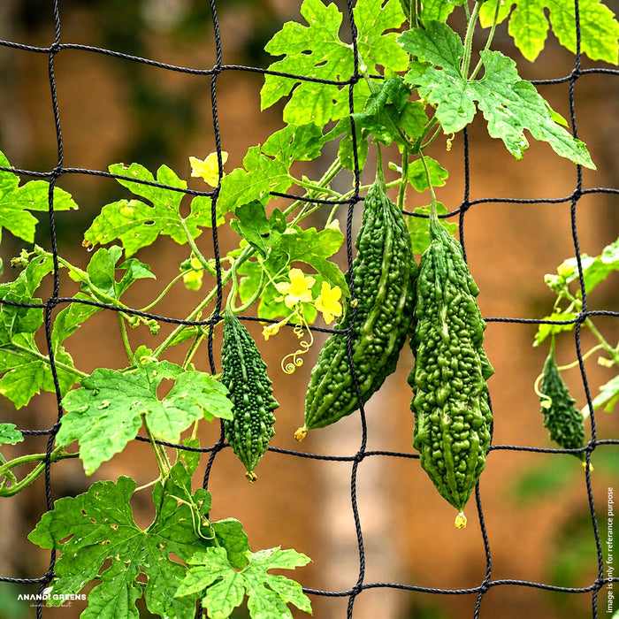 Plant Support Net