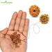 Rudraksh-Seeds-रुद्राक्ष-के-बीज