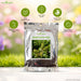 Sagargota Tree Seeds