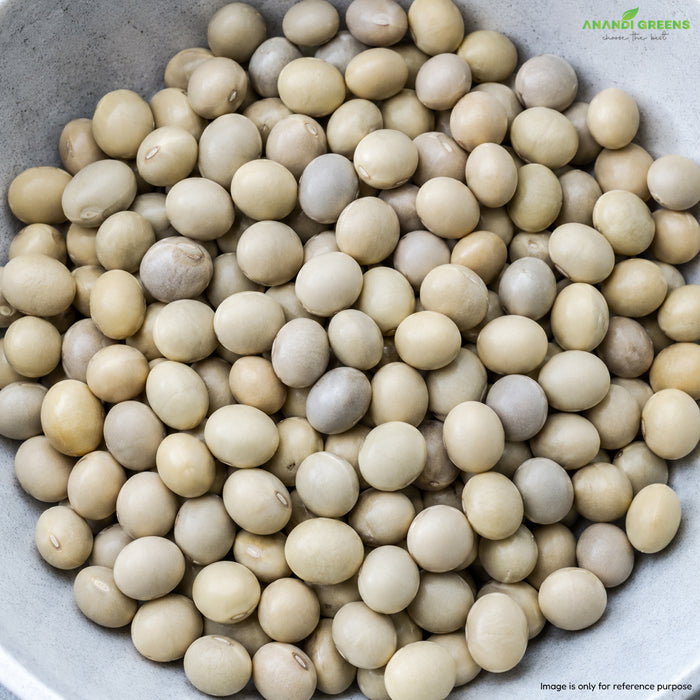 Sagargota Seeds