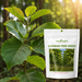 Sagwan_Tectona_grandis_Teak_Tree_Seeds