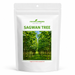 Sagwan (Tectona grandis) | Teak Tree Seeds