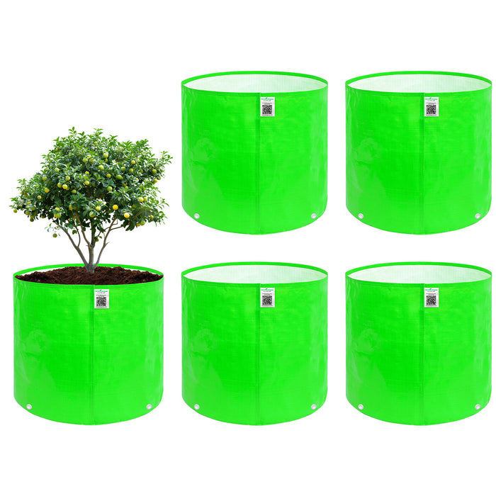 HDPE Circular Grow Bag 24x24 Inch | 260 GSM