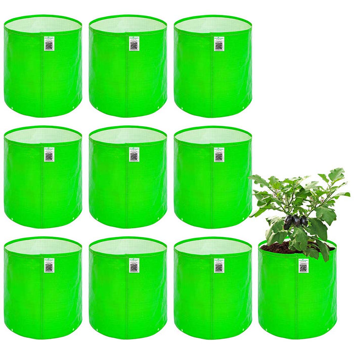 Anandi greens HDPE grow bag 12x12 inch for vegetable and terrace gardening