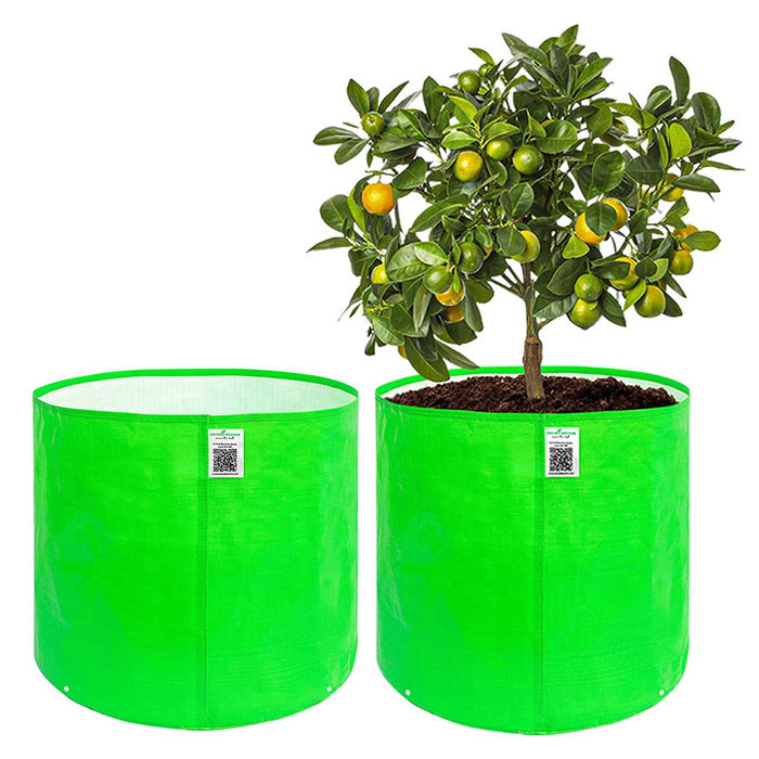 HDPE grow bag 18x18 inch for fruit and vegetable plants