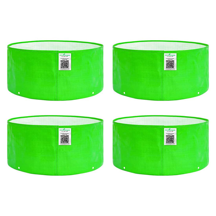 Four green cylindrical plastic containers with labels on a white background