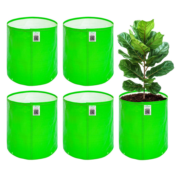 Four green plant grow bags with a potted fiddle leaf fig plant 