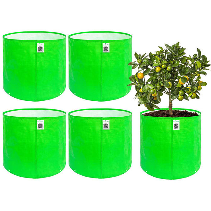 Four green fabric pots with a small tree in the center on a white background