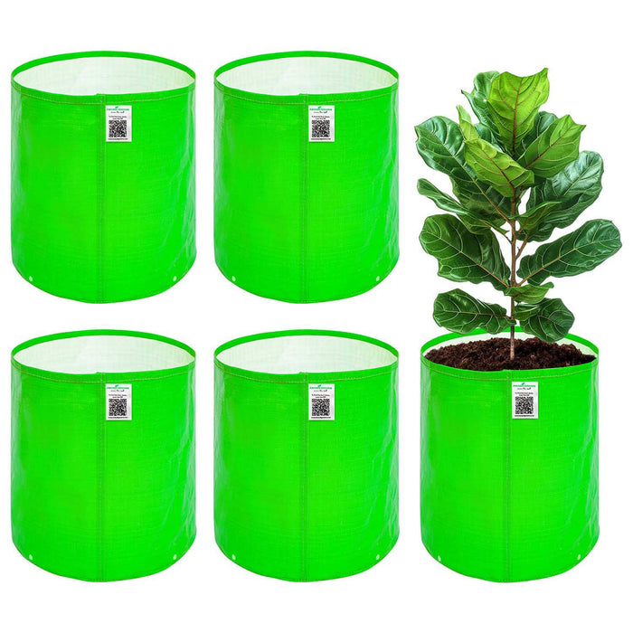 Anandi greens HDPE grow bag 9x12 inch for vegetable and terrace gardening