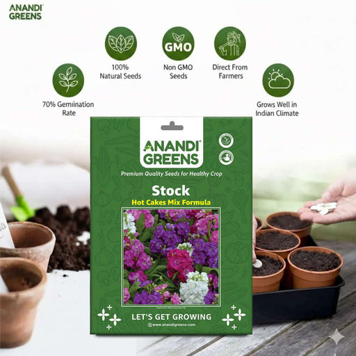 Anandi Greens stock seed packet with gardening elements in the background