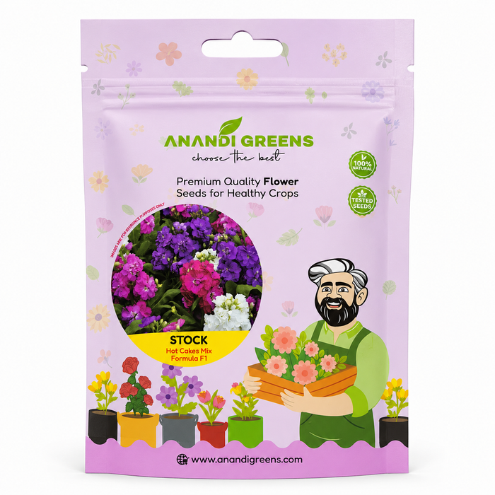 Stock Seeds Close-up — High Germination 85–95% (Under Ideal Conditions)