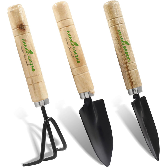 succulent planting tools Succulent Plant Mini Tools Set 3-in-1 – Trowel, Fork & Cultivator — Anandi Green's
