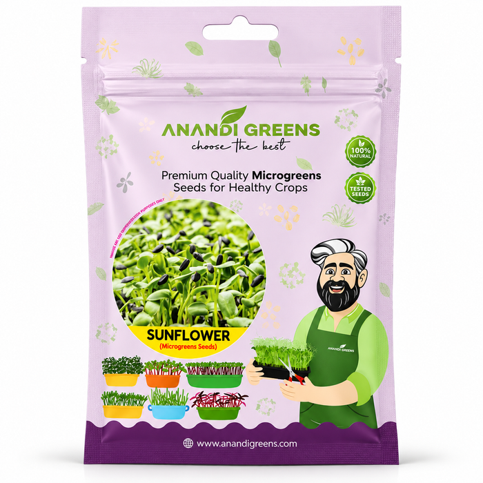 Sunflower Microgreens Seeds (सनफ्लॉवर माइक्रोग्रीन बीज)