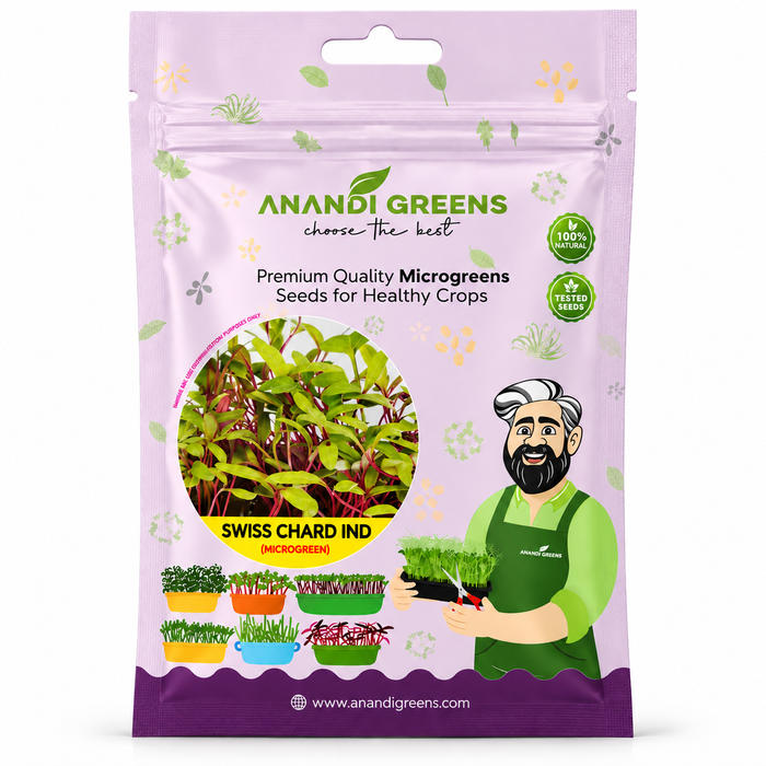 Swiss Chard IND Microgreens Seeds