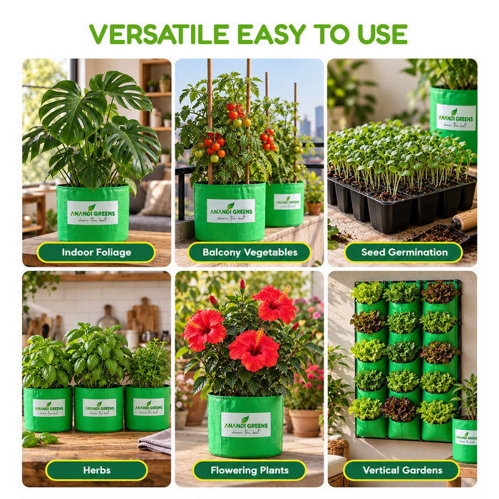 This all-in-one plant care combo includes Bone Meal, Neem Cake Powder, Mustard Cake, Seaweed Extract, Bio NPK Granules and Vermicompost