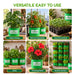 This all-in-one plant care combo includes Bone Meal, Neem Cake Powder, Mustard Cake, Seaweed Extract, Bio NPK Granules and Vermicompost