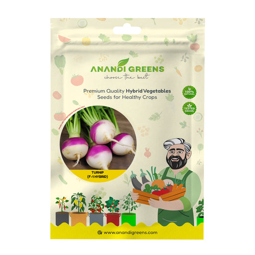 Turnip (शलजम) Seeds