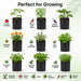 A product infographic showing multiple small nursery grow bag plants arranged in a grid on a white background with the headline 'Perfect for Growing.' Each pot contains a different labeled plant such as tomato seedling, green chili plant, brinjal eggplant, marigold flower, tulsi holy basil, mint plant, coriander plant, spinach palak, fenugreek methi, and vegetable plants.