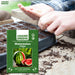 Watermelon Seeds तरबूज के बीज germination 