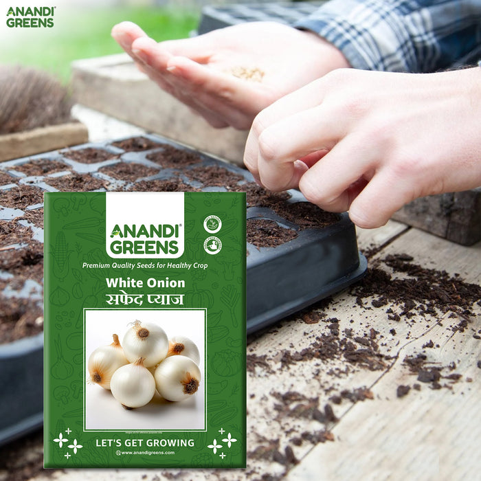 White-Onion-Seeds-Packet 