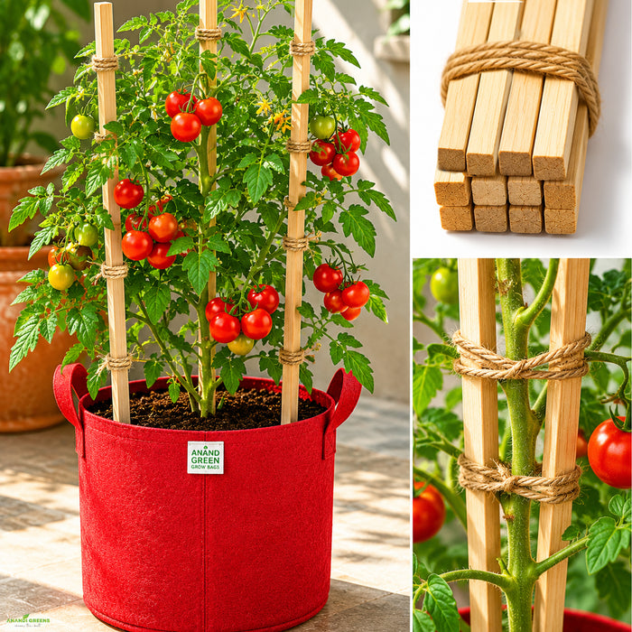 Wooden Plant Support Stick