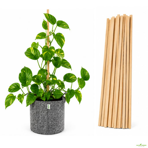Wooden Plant Support Stick