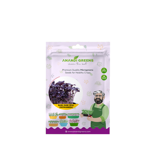 BASIL DARK OPAL (PURPLE) (MICROGREEN) – original Anandi Greens packet on white background