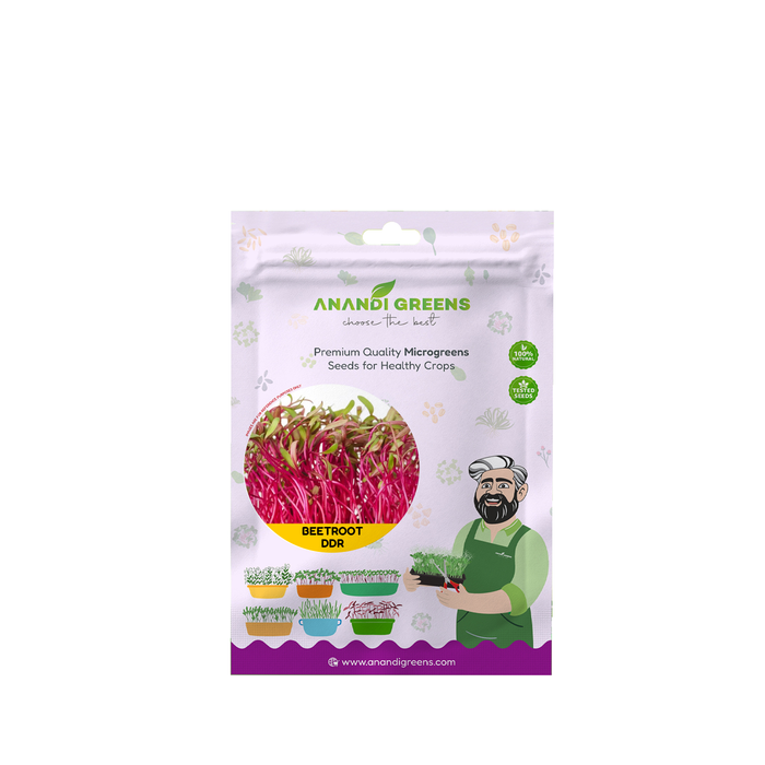 BEETROOT-DDR (MICROGREEN) – original Anandi Greens packet on white background