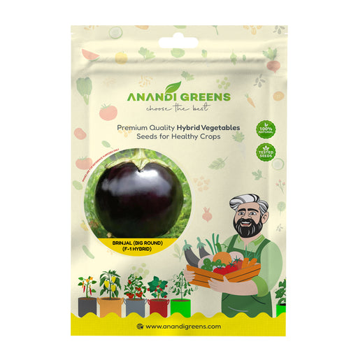 Anandi Greens Brinjal Big Round F1 Hybrid Seeds seed packet front