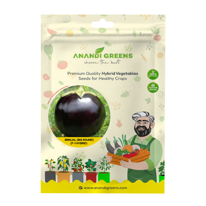 Anandi Greens Brinjal Big Round F1 Hybrid Seeds seed packet front