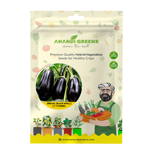 Anandi Greens Brinjal Hybrid (Black Small) Seeds seed packet front
