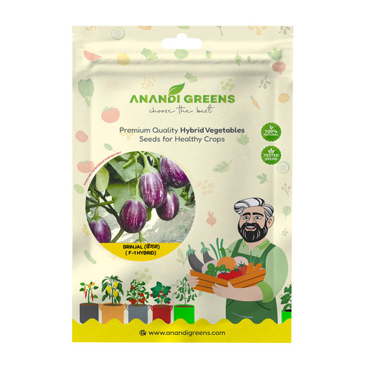 Anandi Greens Brinjal (बेंगन) Hybrid (Purple Small) Seeds seed packet front