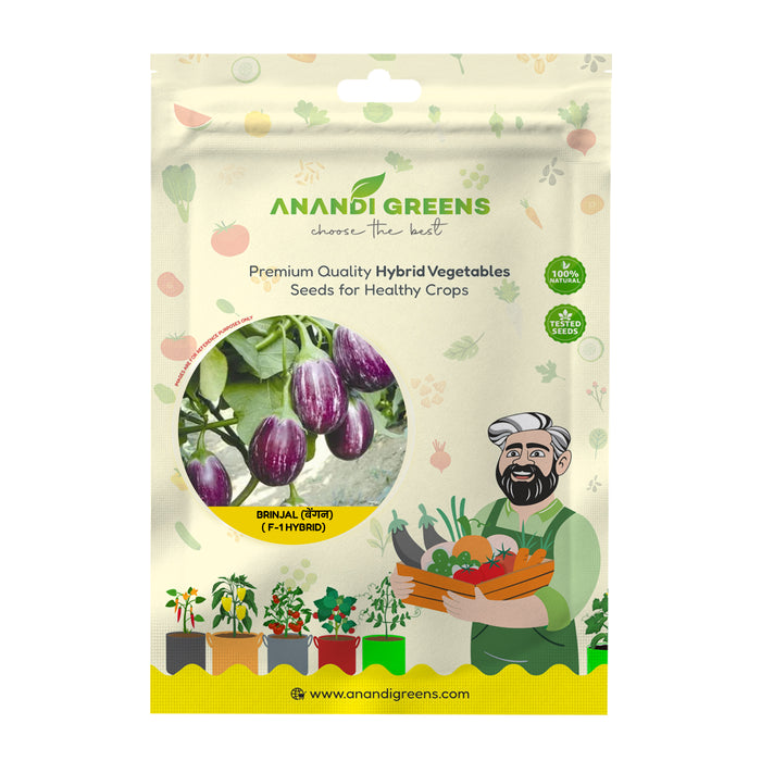 Anandi Greens Brinjal (बेंगन) Hybrid (Purple Small) Seeds seed packet front