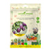 Anandi Greens Brinjal (बेंगन) Hybrid (Purple Small) Seeds seed packet front