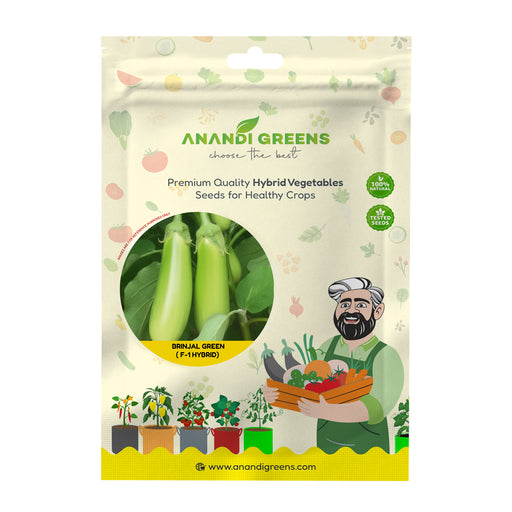 Anandi Greens Brinjal Hybrid (बेंगन हरे लंबे ) Seeds F1 Hybrid seed packet front