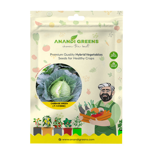 Anandi Greens Cabbage Green F-1 Hybrid Seeds seed packet front
