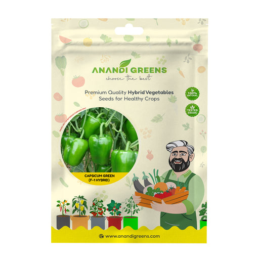Anandi Greens Capsicum Green F1 Hybrid Seeds seed packet front