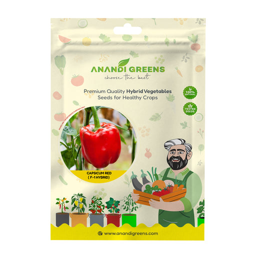 Anandi Greens Capsicum Red (लाल शिमला मिर्च) F1 Hybrid Seeds seed packet front