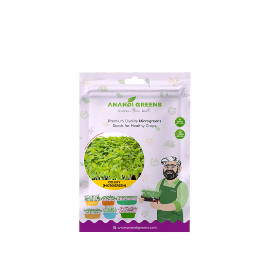 CELERY (MICROGREEN) – original Anandi Greens packet on white background