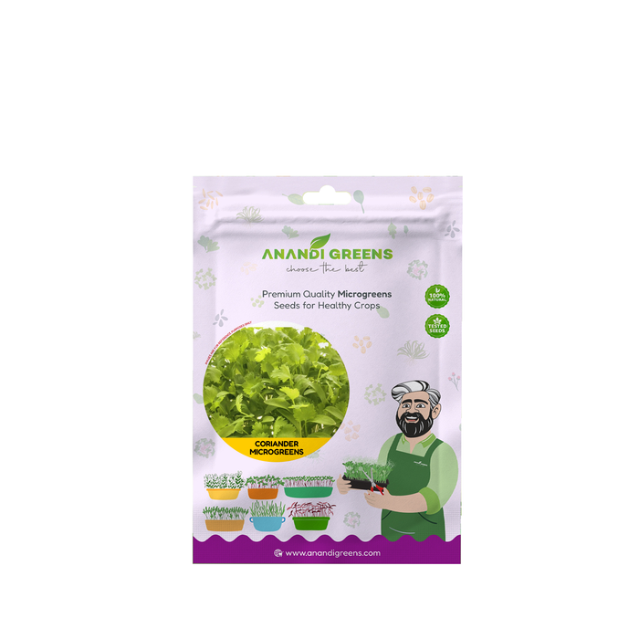 Coriander (धनिया) Microgreen Seeds – original Anandi Greens packet on white background