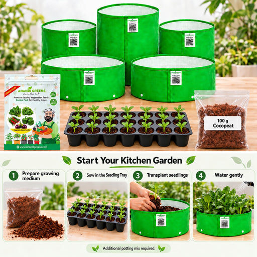 Anandi Greens Kitchen Garden Combo – growing steps with round-cell Seedling Tray and 100 g Cocopeat