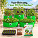 Anandi Greens Kitchen Garden Combo – balcony garden with round-cell Seedling Tray and 100 g Cocopeat