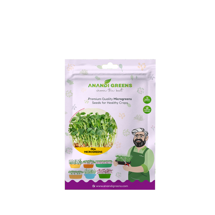 Pea Microgreens seeds (मटर माइक्रोग्रीन बीज) – original Anandi Greens packet on white background