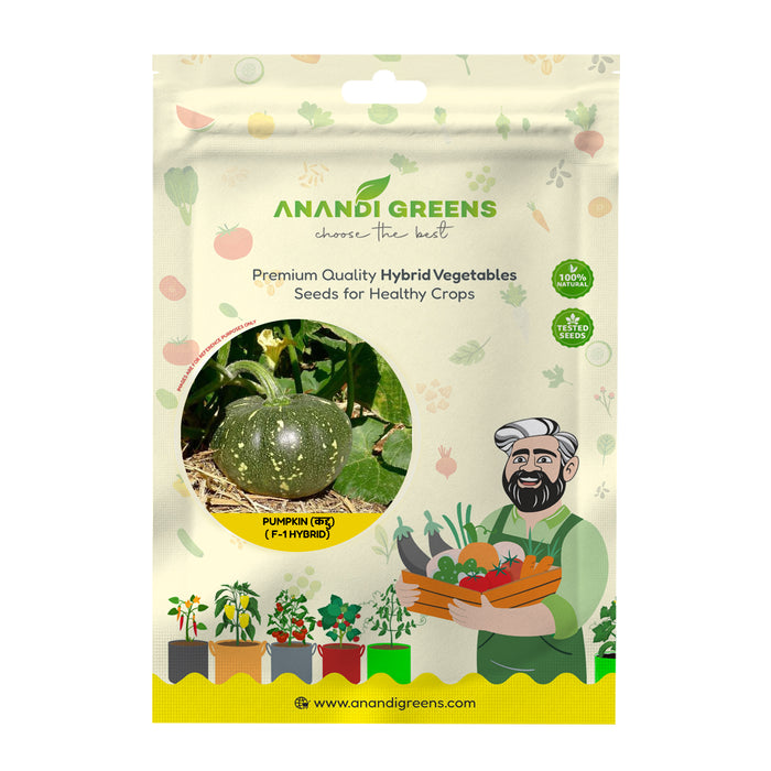 Anandi Greens pumpkin F1 hybrid seeds packet